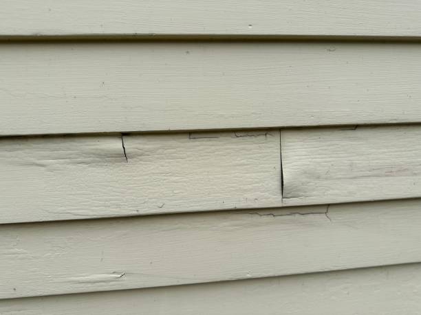 Best Historical Building Siding Restoration  in Santa Ana, CA
